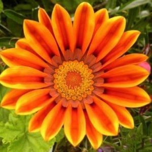 Meet your Posher, Martinez